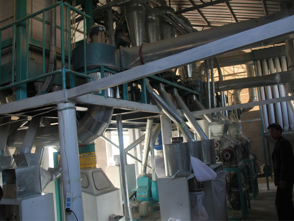 15噸級玉米加工設(shè)備